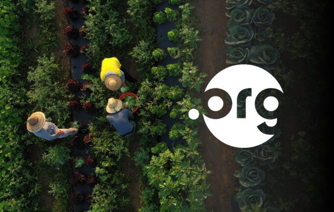 .ORG Domains, Now $7.99